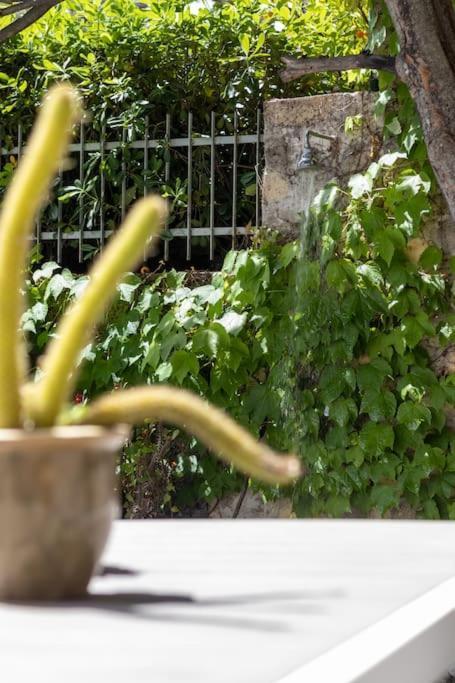 Il Giardino Tra Cielo E Mare Apartment Портовенере Екстериор снимка